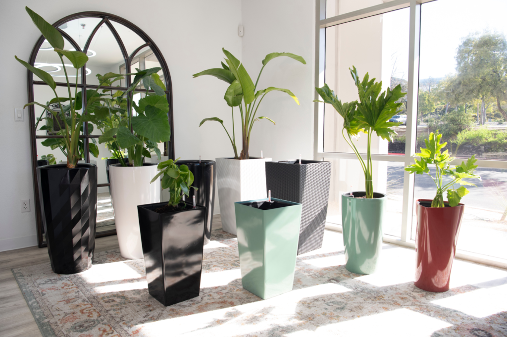 Self-watering planters in different colors in Riverside